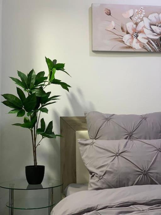Studio Central Mm Apartments Брашов Екстериор снимка