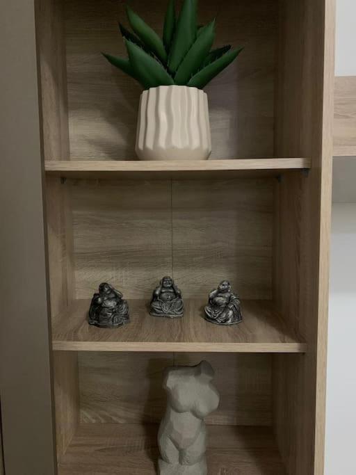 Studio Central Mm Apartments Брашов Екстериор снимка