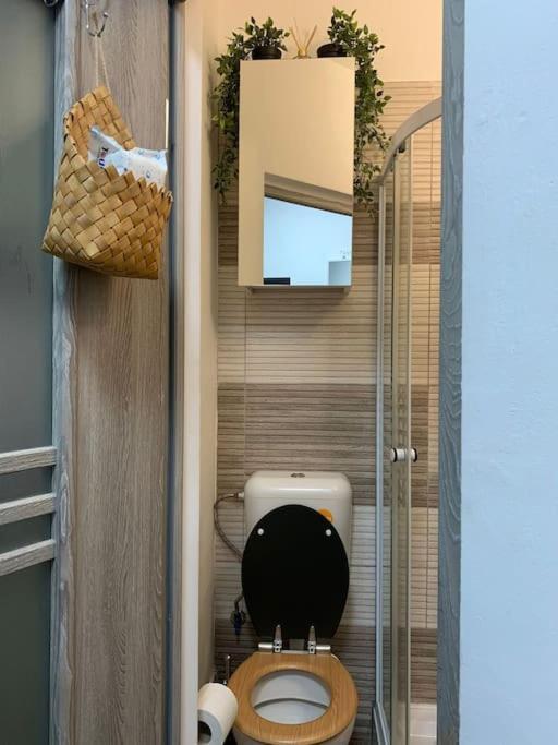 Studio Central Mm Apartments Брашов Екстериор снимка
