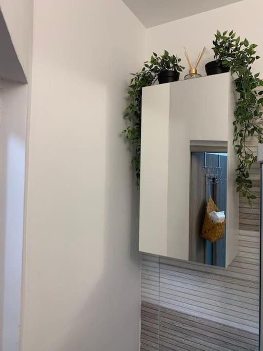 Studio Central Mm Apartments Брашов Екстериор снимка