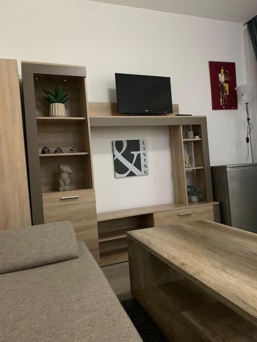 Studio Central Mm Apartments Брашов Екстериор снимка